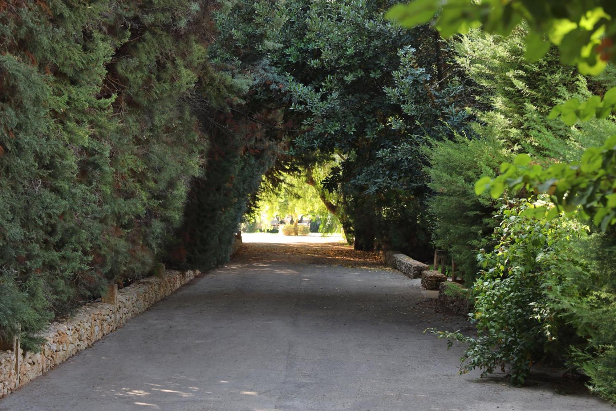 Maison D'enrì Bed & Breakfast Gallipoli